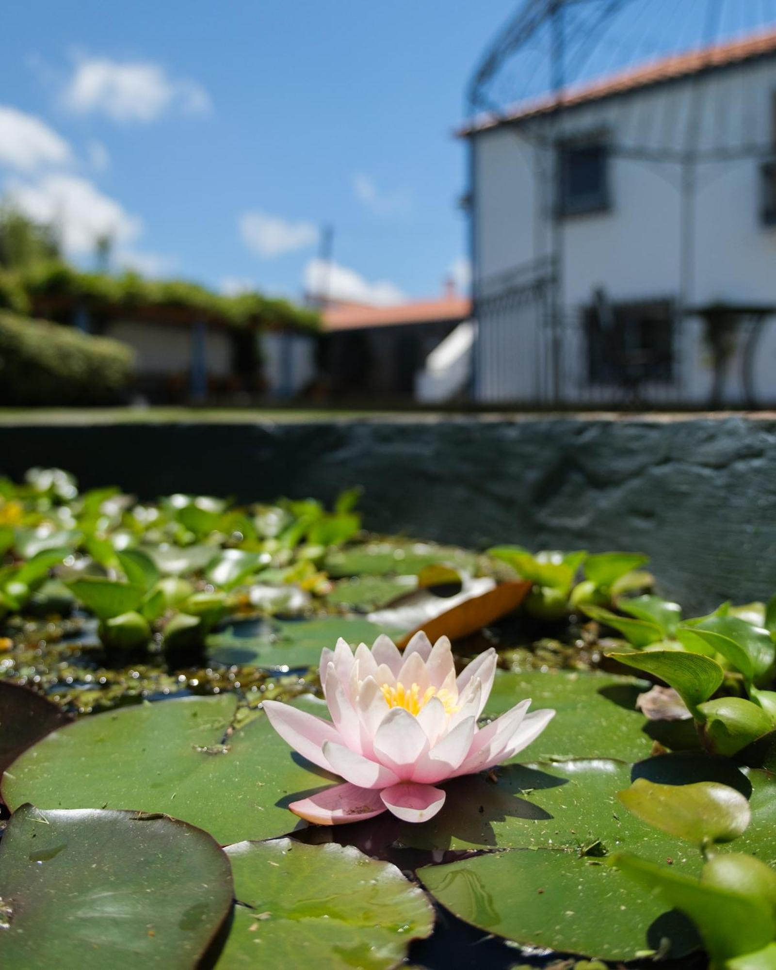 Quinta Morazes Casas De Campo Ribeira Grande Luaran gambar